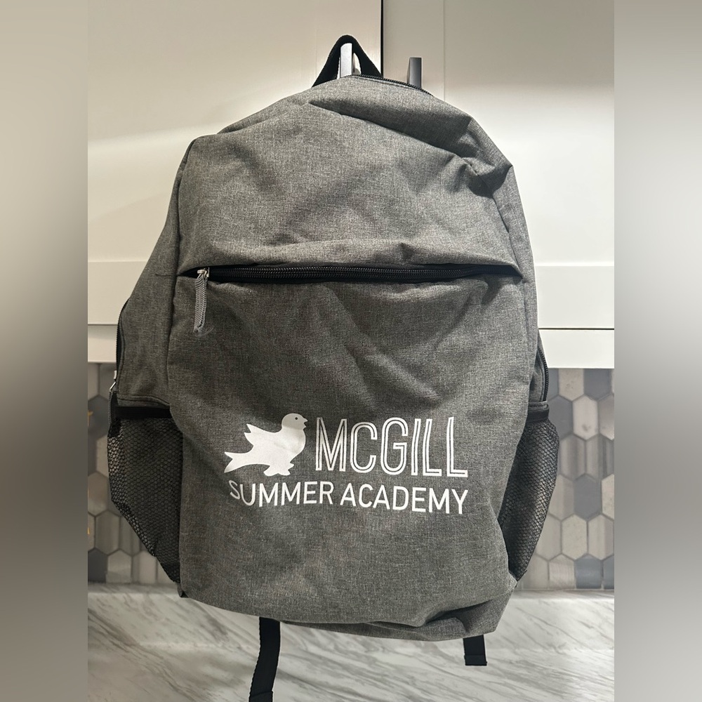 Gray Backpack - image 1